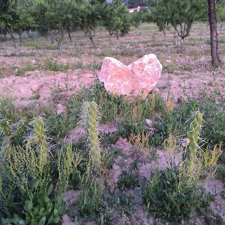 Quinta Do Retiro Vendégház Felgar Kültér fotó