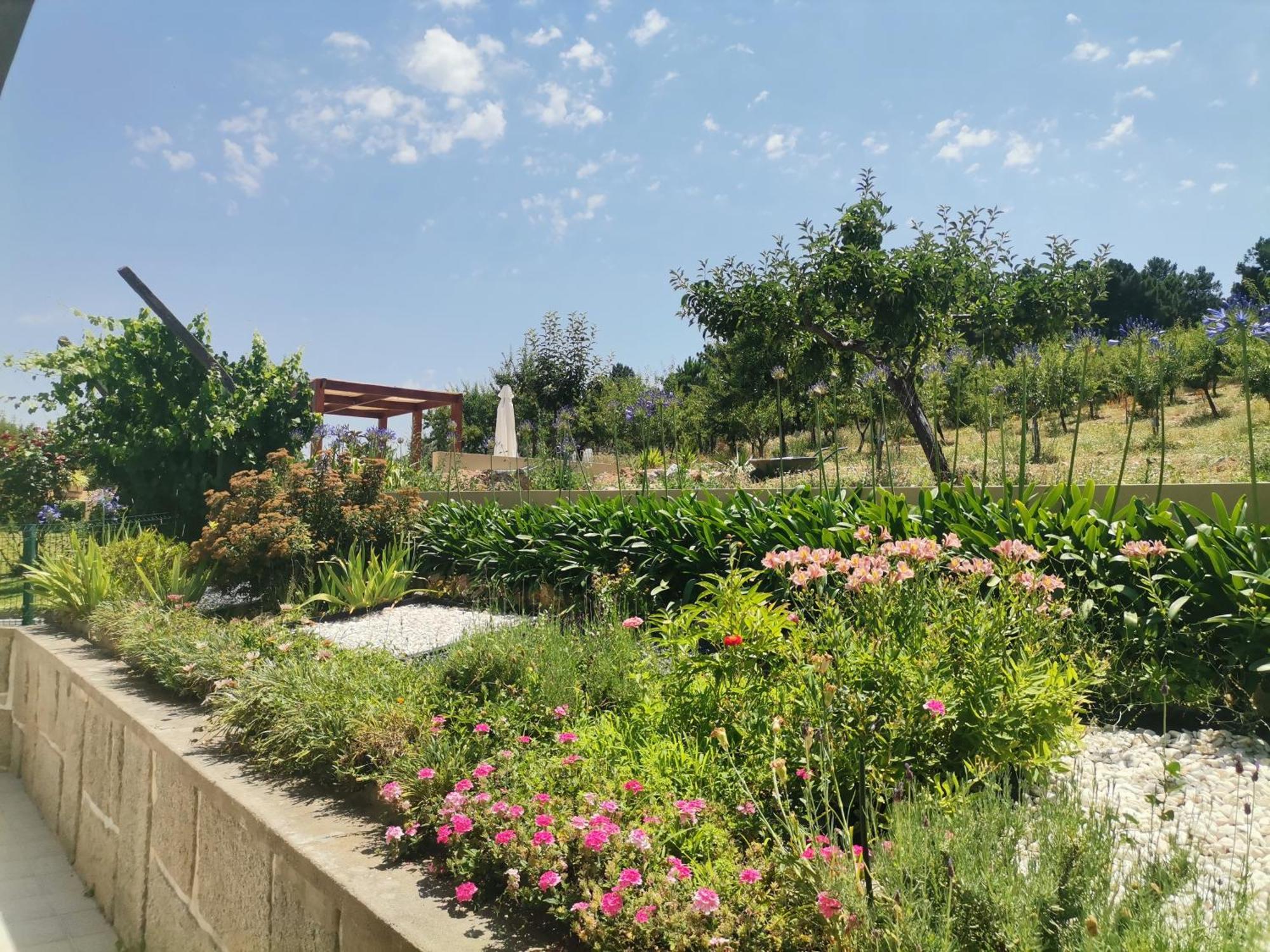 Quinta Do Retiro Vendégház Felgar Kültér fotó